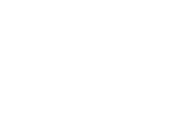 gammaforce logo